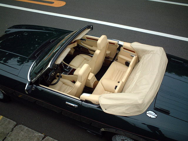 �A�[�f���W���K�[�������R���o�[�`�u���@�I�[�v���J�[